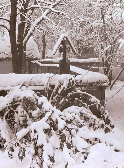 Secvențe din Muzeul Satului, peisaj de iarnă în muzeu; crucea de la Drăguș (1988) — تصویر رکورد یوروپیانا