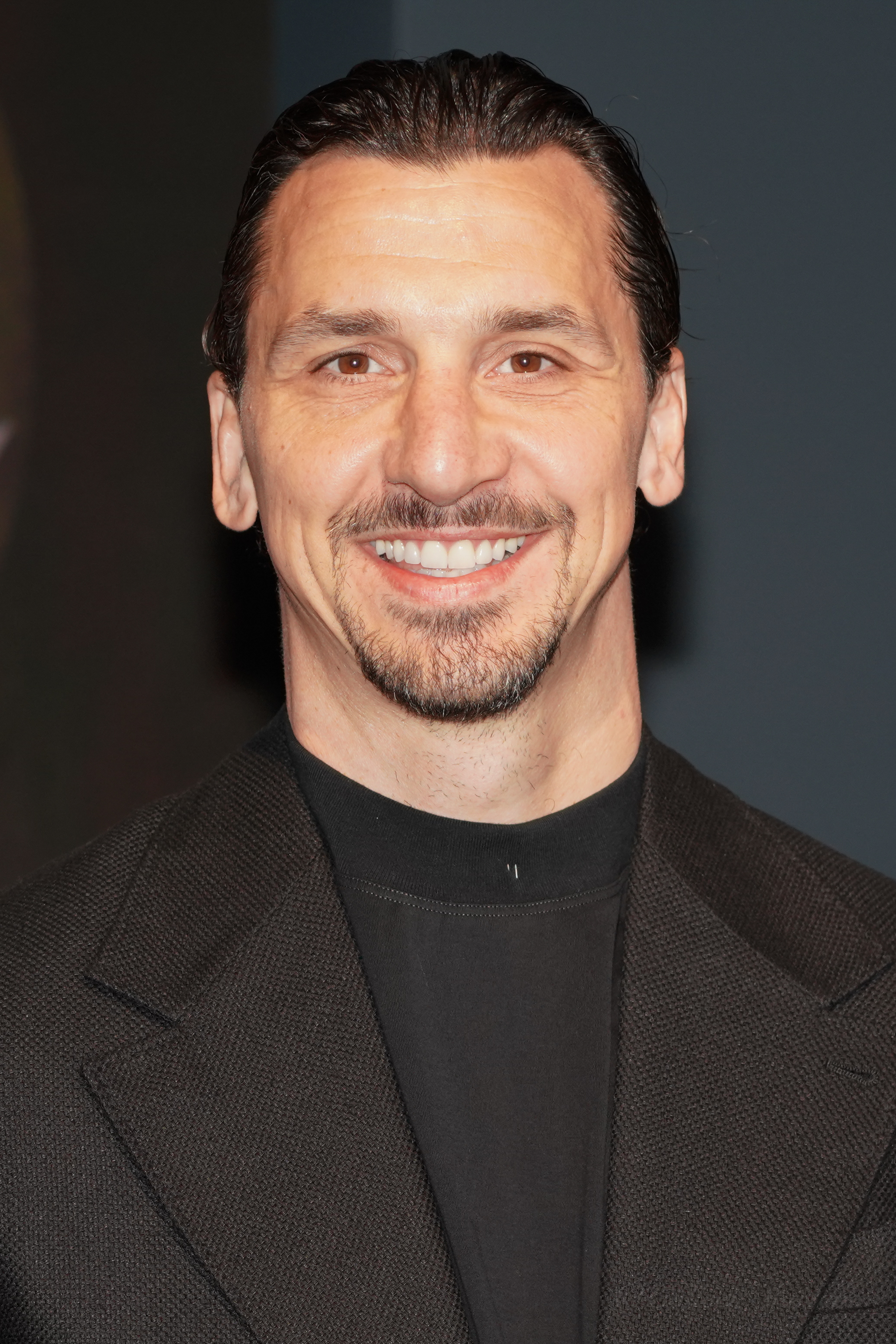تصویر ثبت‌شده برای این تیپ در ویکی‌پدیا (Zlatan Ibrahimović)