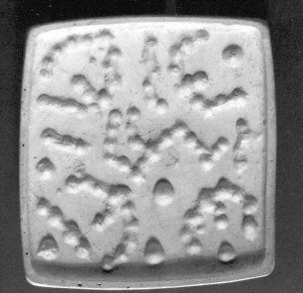 Drilled cushion-rectangular plaque seal — تصویر رکورد موزهٔ متروپولیتن (دسترسی آزاد)