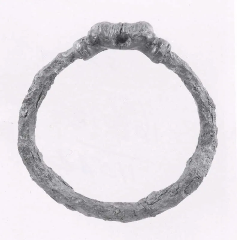 Bracelet or anklet with lion — تصویر رکورد موزهٔ متروپولیتن (دسترسی آزاد)