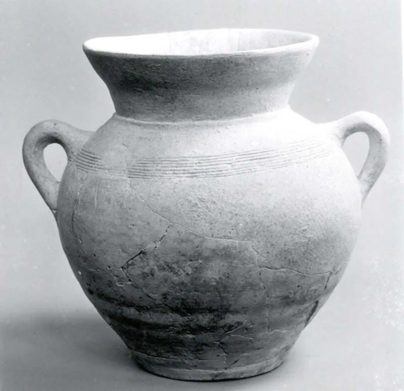 Jug — تصویر رکورد موزهٔ متروپولیتن (دسترسی آزاد)