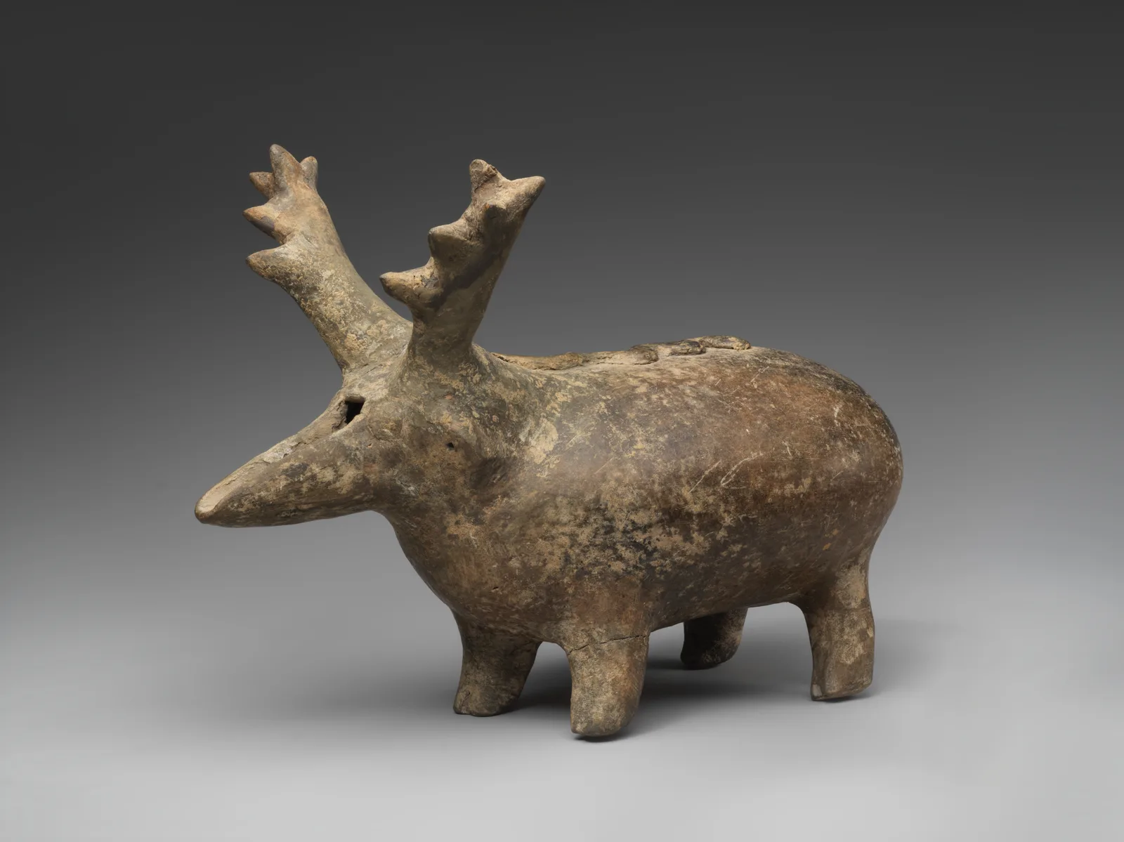 Spouted vessel in the shape of a stag — تصویر رکورد موزهٔ متروپولیتن (دسترسی آزاد)