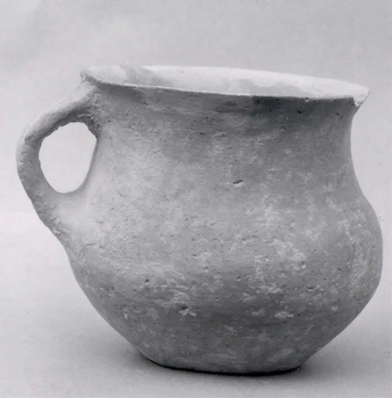 Jug — تصویر رکورد موزهٔ متروپولیتن (دسترسی آزاد)