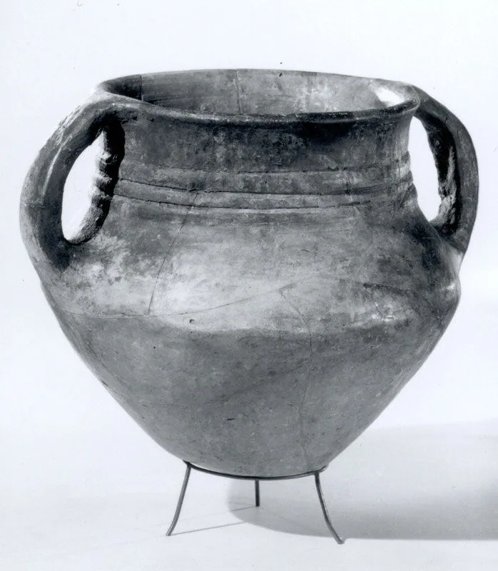 Pot — تصویر رکورد موزهٔ متروپولیتن (دسترسی آزاد)