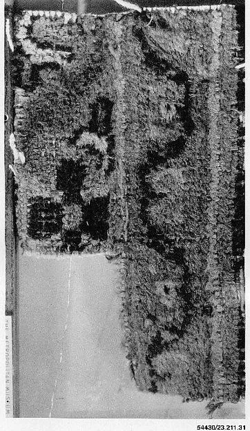 Carpet Fragment — تصویر رکورد موزهٔ متروپولیتن (دسترسی آزاد)