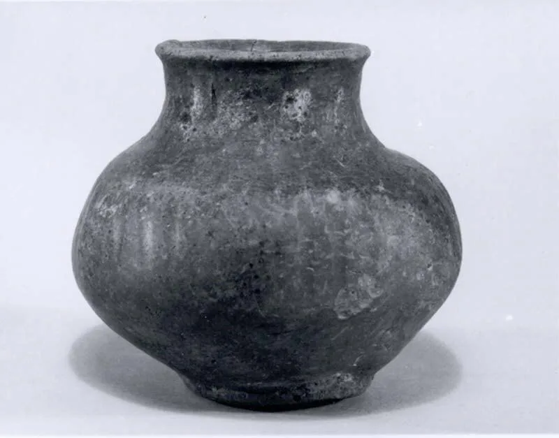 Jar — تصویر رکورد موزهٔ متروپولیتن (دسترسی آزاد)