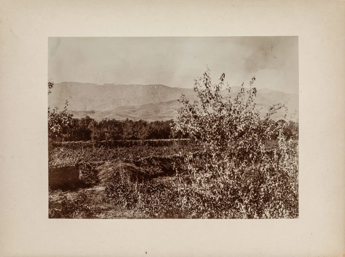 Crops of arable land (Vorasian expedition 1906-1907 - 4 Persia 1907) — تصویر رکورد یوروپیانا