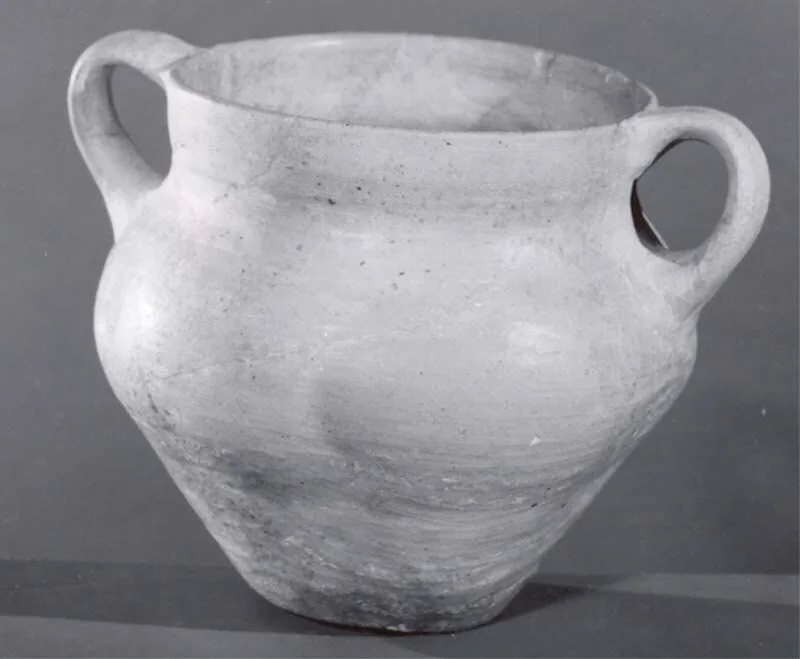 Two-handled jar — تصویر رکورد موزهٔ متروپولیتن (دسترسی آزاد)