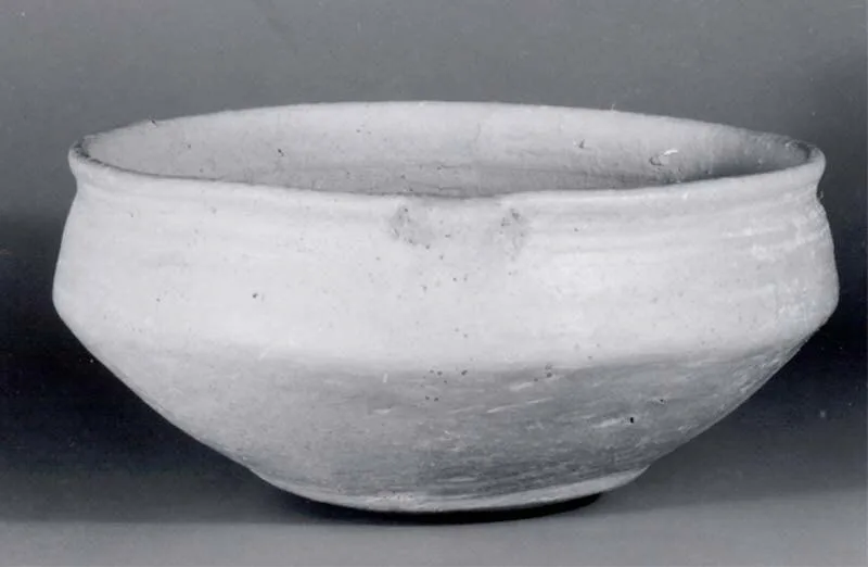 Bowl — تصویر رکورد موزهٔ متروپولیتن (دسترسی آزاد)
