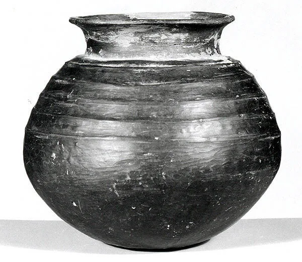 Jar with ribbed decoration — تصویر رکورد موزهٔ متروپولیتن (دسترسی آزاد)
