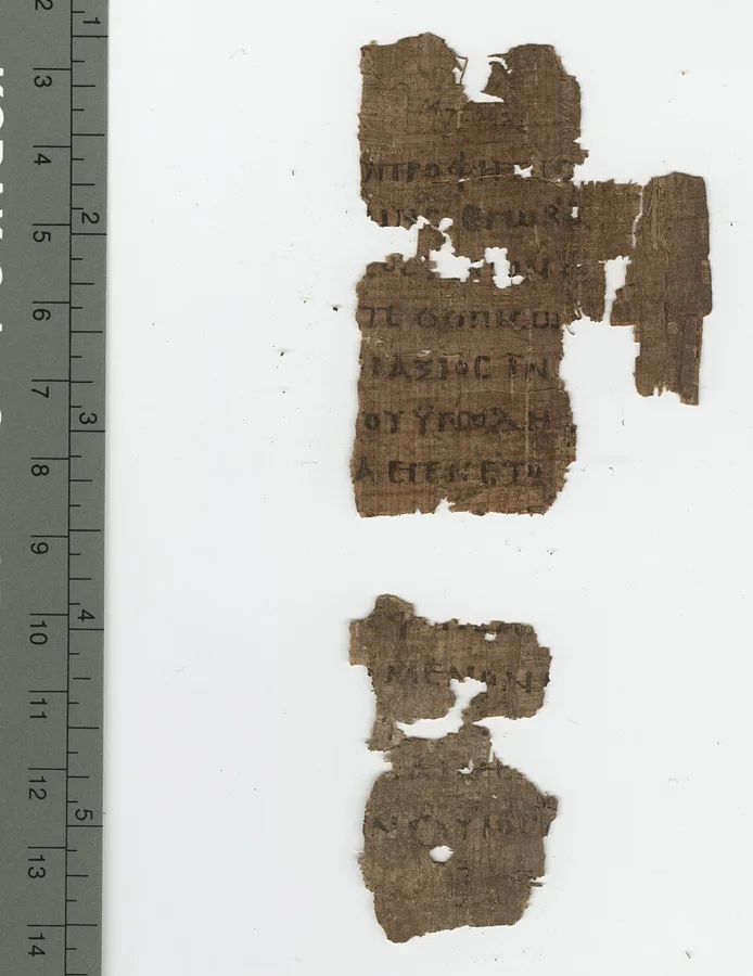 Papyrus 120 — تصویر رکورد ویکیداده