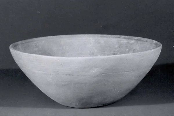 Bowl — تصویر رکورد موزهٔ متروپولیتن (دسترسی آزاد)