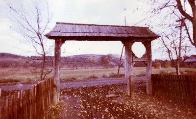 Poartă, sat Vad, com. Copalnic-Mânăștur, jud. Maramureș (1967) — تصویر رکورد یوروپیانا