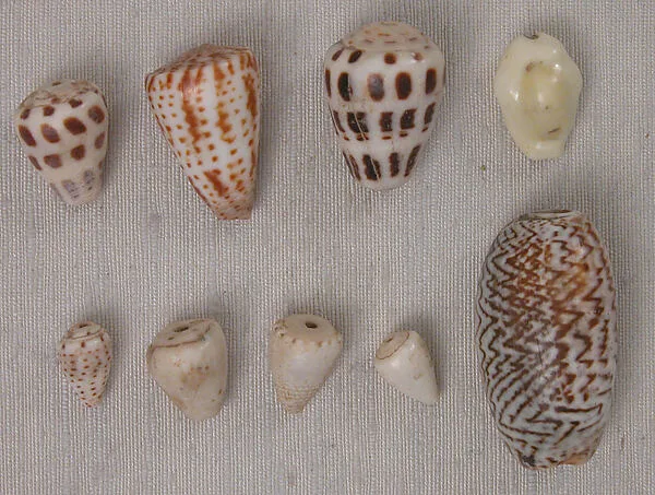 Bead — تصویر رکورد موزهٔ متروپولیتن (دسترسی آزاد)