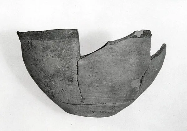 Bowl — تصویر رکورد موزهٔ متروپولیتن (دسترسی آزاد)