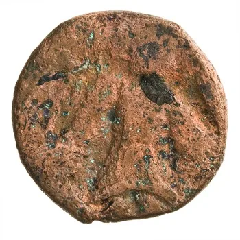 روی نمونهٔ موزه‌ای 1997.66.2344 از این تیپ