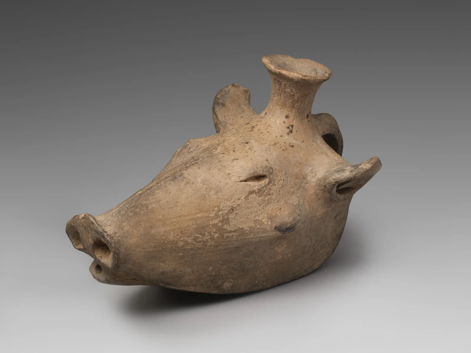Rhyton in the shape of a boar head — تصویر رکورد موزهٔ متروپولیتن (دسترسی آزاد)