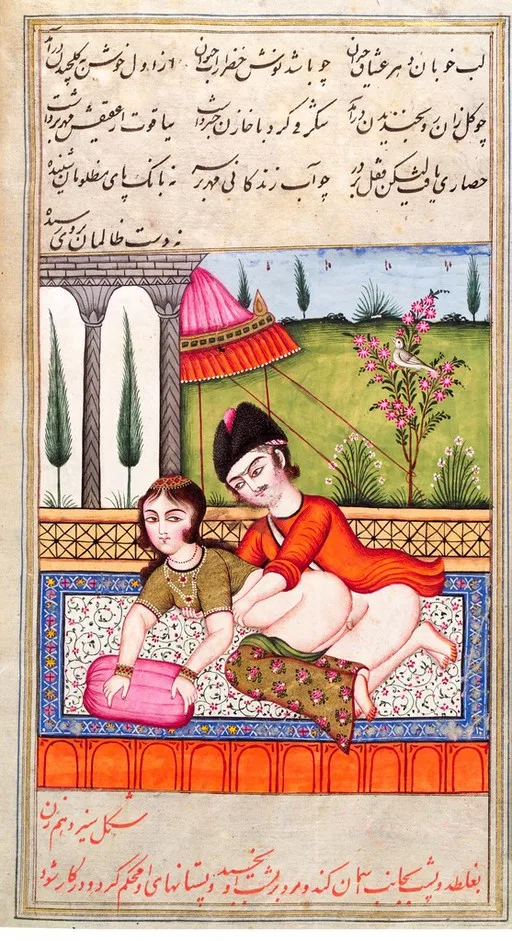 Persian couple copulating — تصویر رکورد یوروپیانا