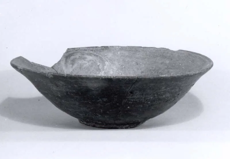 Bowl — تصویر رکورد موزهٔ متروپولیتن (دسترسی آزاد)