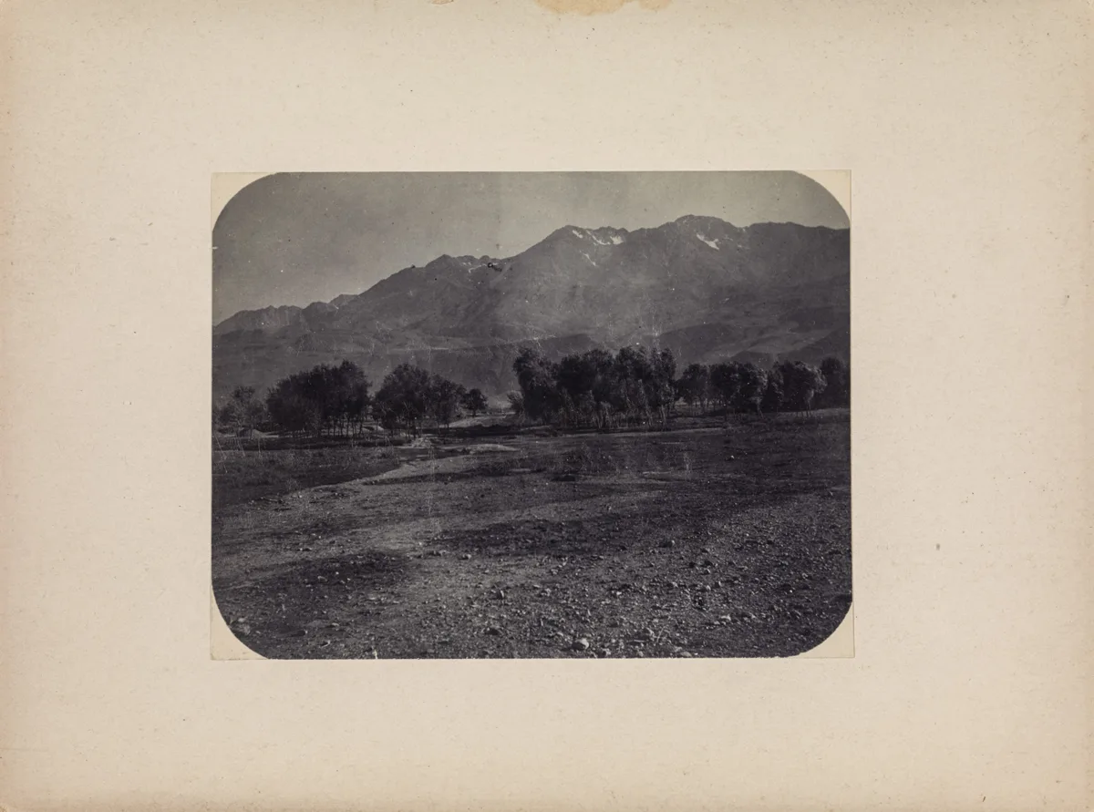 Gallery Forest (Western Asia Expedition 1906-1907 - 4 Persia 1907) — تصویر رکورد یوروپیانا