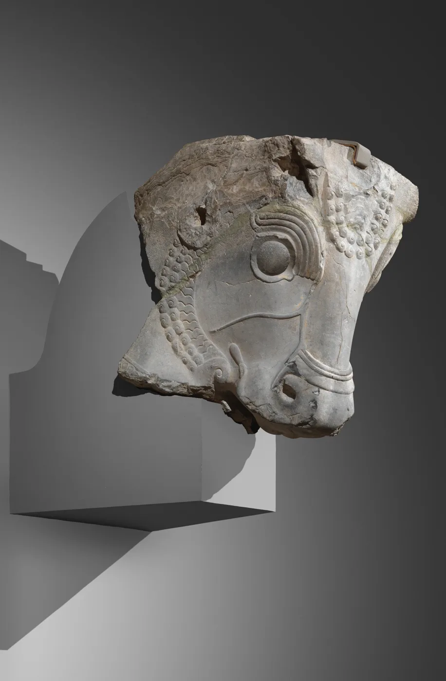 Bull's head from column capital — تصویر رکورد موزهٔ متروپولیتن (دسترسی آزاد)