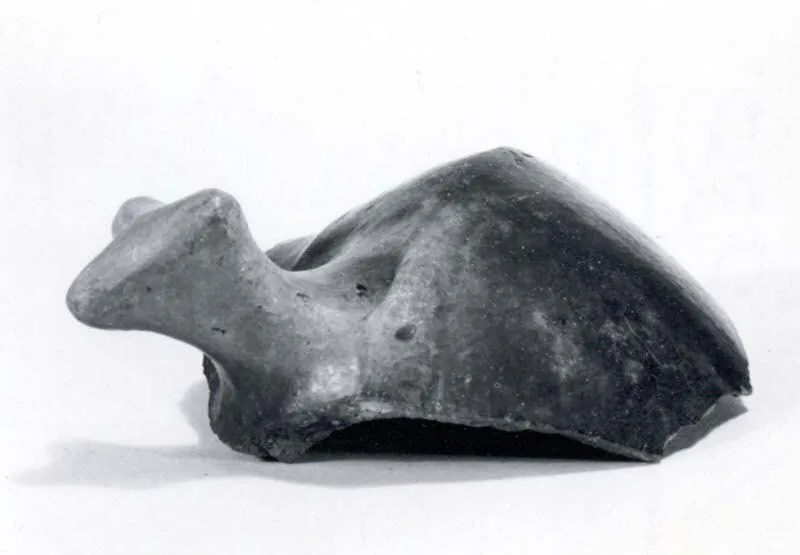 Animal head — تصویر رکورد موزهٔ متروپولیتن (دسترسی آزاد)