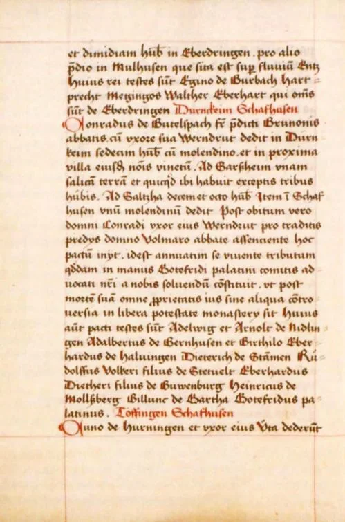 Codex Hirsaugensis — تصویر رکورد ویکیداده
