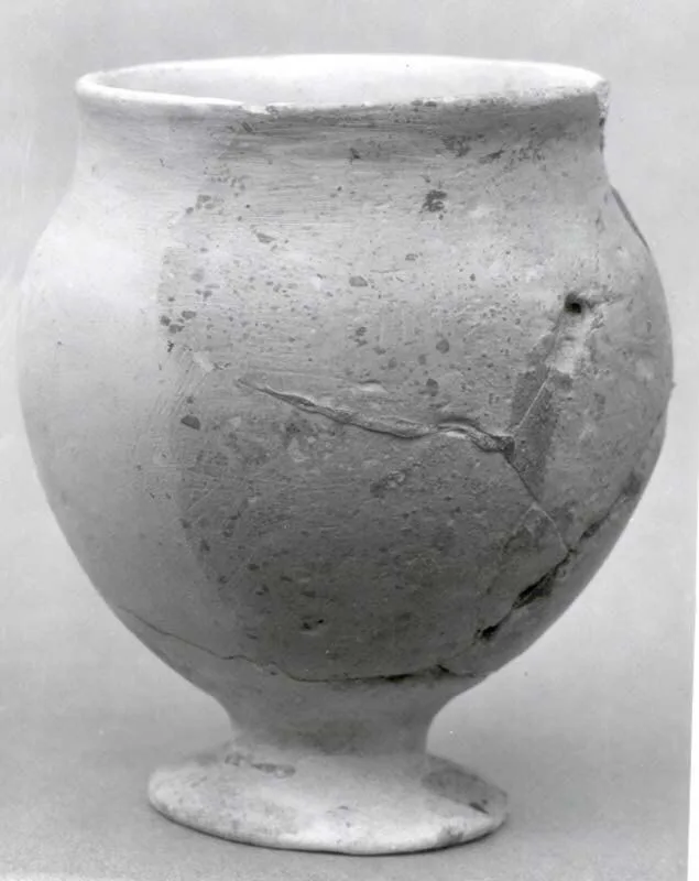 Footed goblet — تصویر رکورد موزهٔ متروپولیتن (دسترسی آزاد)