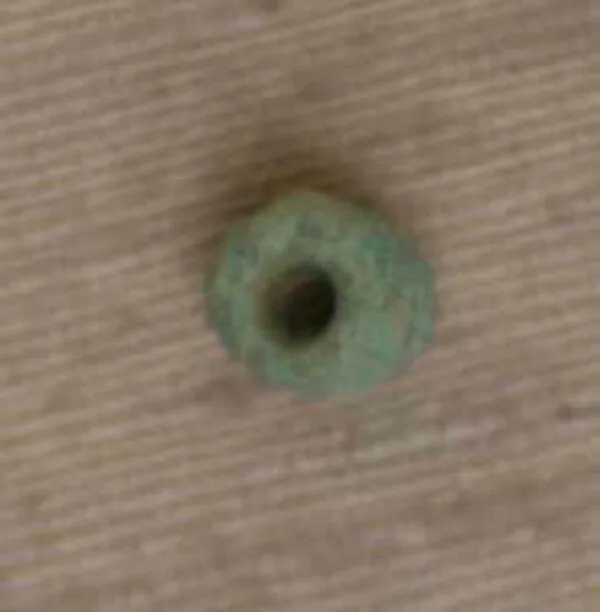 Bead — تصویر رکورد موزهٔ متروپولیتن (دسترسی آزاد)