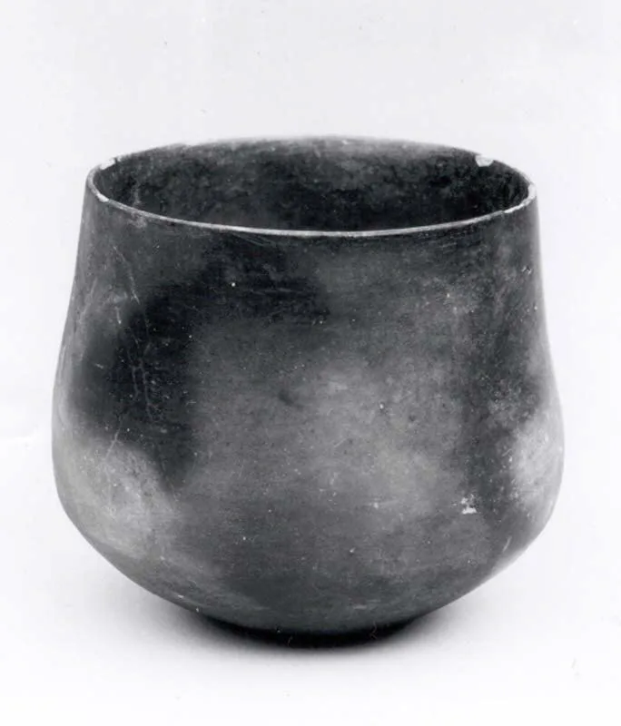 Beaker — تصویر رکورد موزهٔ متروپولیتن (دسترسی آزاد)
