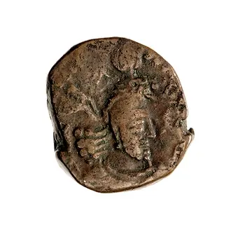روی نمونهٔ موزه‌ای 1944.100.64015 از این تیپ
