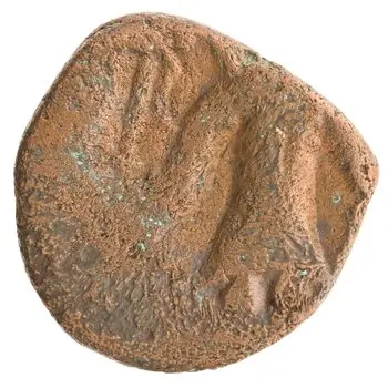 روی نمونهٔ موزه‌ای 1997.66.2935 از این تیپ
