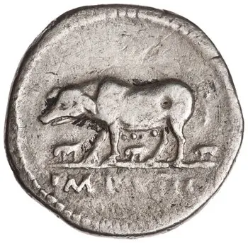 پشت نمونهٔ موزه‌ای 1944.100.41631 از این تیپ