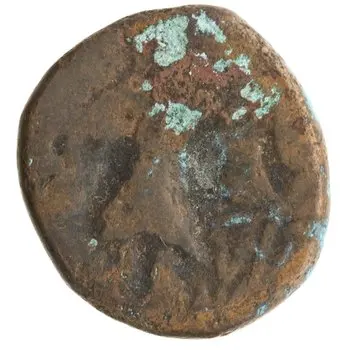 روی نمونهٔ موزه‌ای 1997.66.2411 از این تیپ