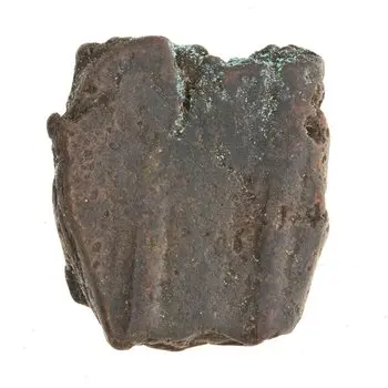 روی نمونهٔ موزه‌ای 1997.66.7047 از این تیپ