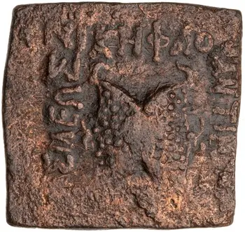 روی نمونهٔ موزه‌ای 1985.19.11 از این تیپ