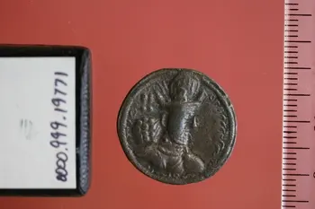 روی نمونهٔ موزه‌ای 0000.999.19771 از این تیپ