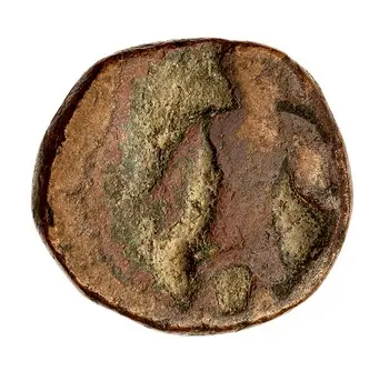 روی نمونهٔ موزه‌ای 1996.62.252 از این تیپ