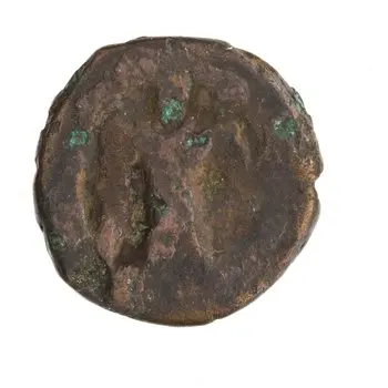 روی نمونهٔ موزه‌ای 1997.66.2847 از این تیپ