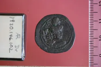 روی نمونهٔ موزه‌ای 1920.146.102 از این تیپ