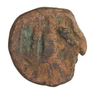 روی نمونهٔ موزه‌ای 1997.66.2893 از این تیپ