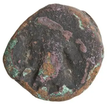 روی نمونهٔ موزه‌ای 1997.66.2934 از این تیپ