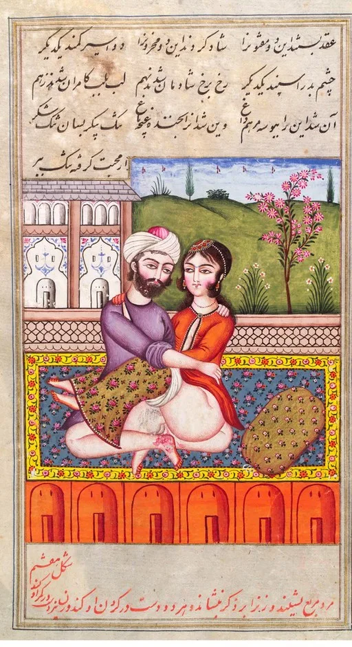 Persian couple copulating — تصویر رکورد یوروپیانا