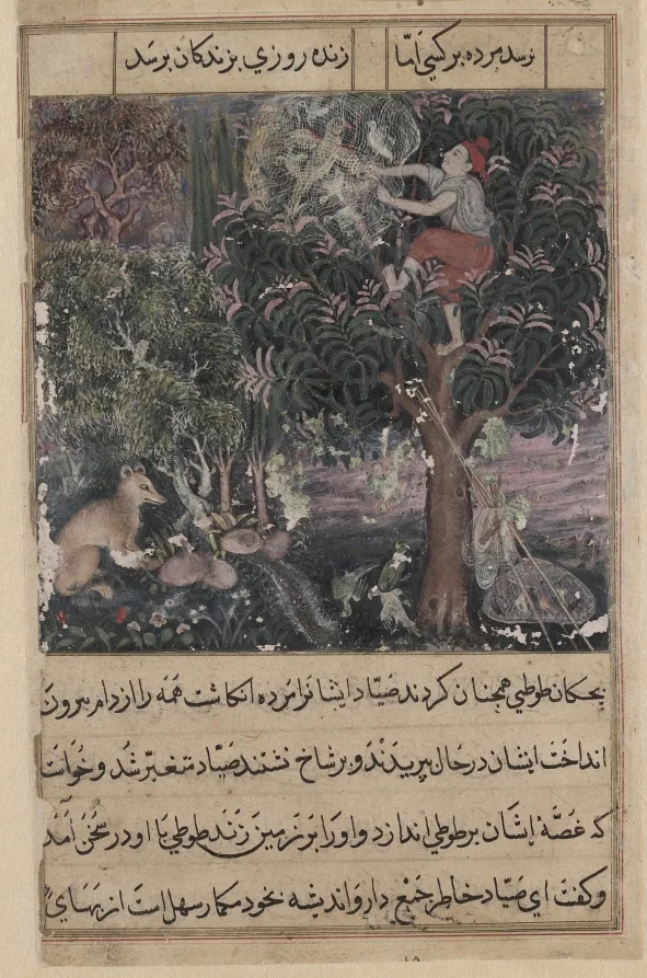 The hunter throws away the baby parrots, who pretend to be dead, and captures the mother, from a Tuti-nama (Tales of a Parrot): Fifth Night — تصویر رکورد موزهٔ هنر کلیولند (دسترسی آزاد)