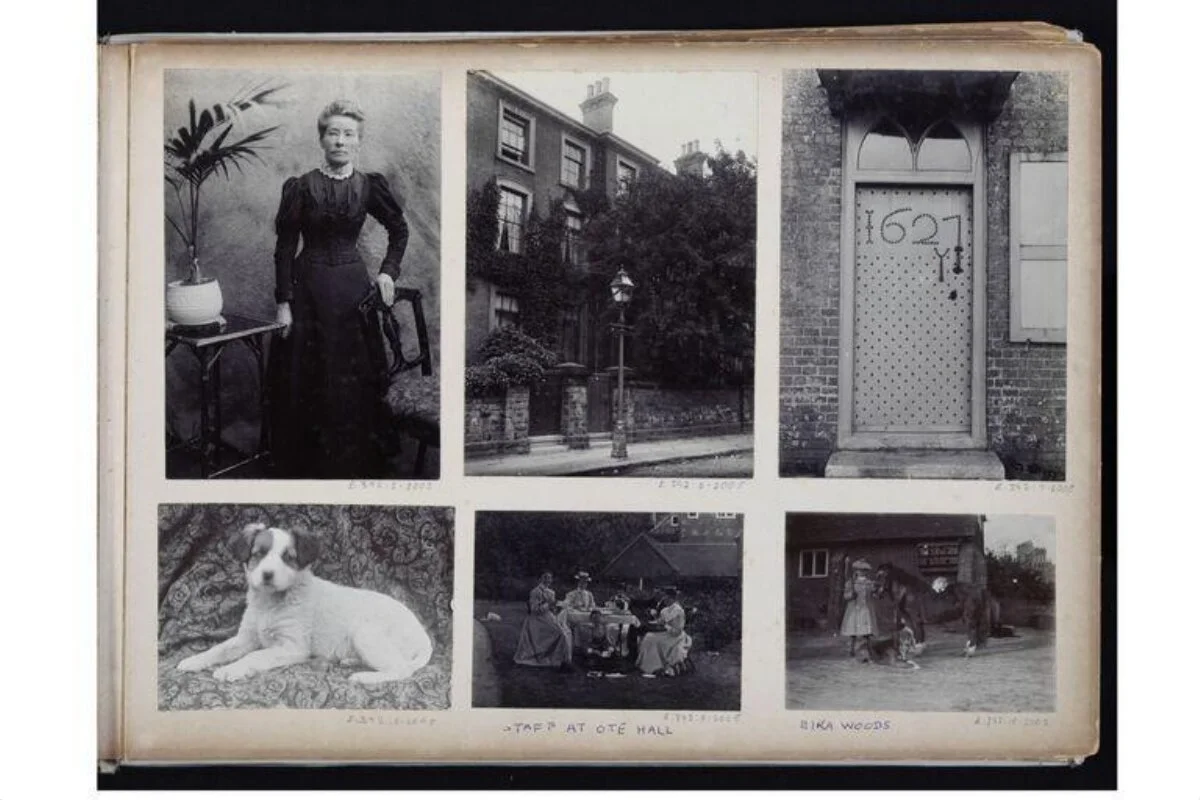 Photograph of a dog — تصویر رکورد موزهٔ ویکتوریا و آلبرت