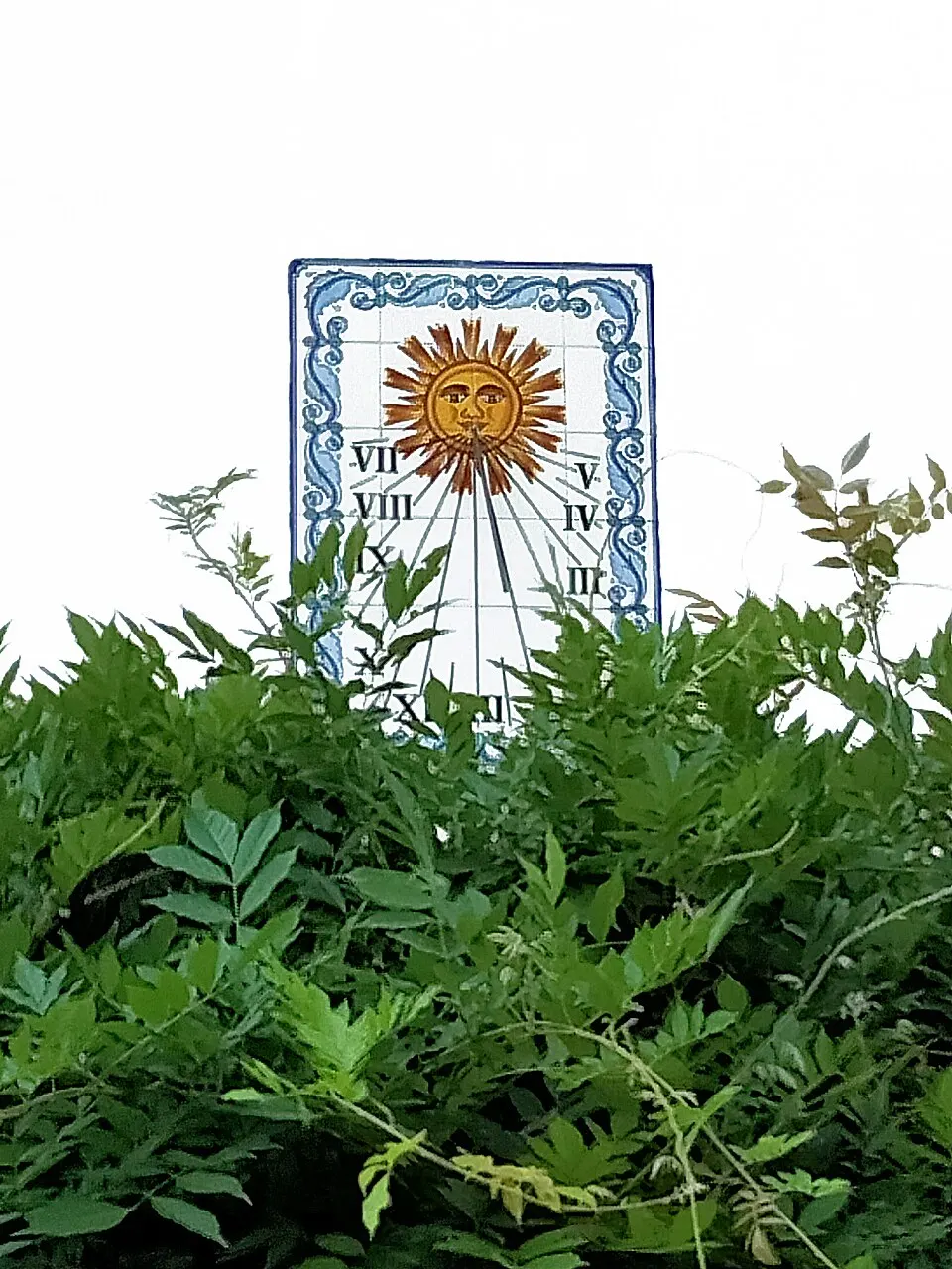 تصویر ثبت‌شده برای این تیپ در ویکی‌داده