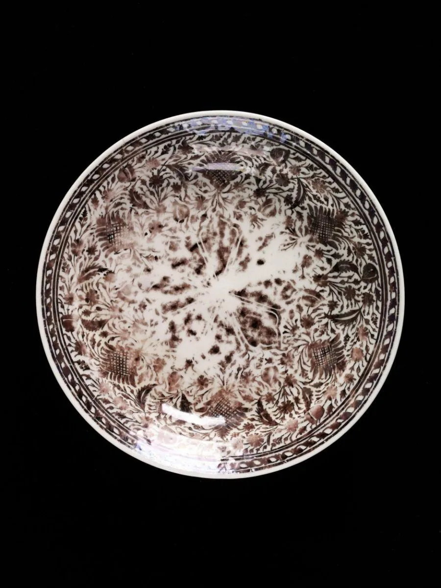 Dish — تصویر رکورد موزهٔ ویکتوریا و آلبرت