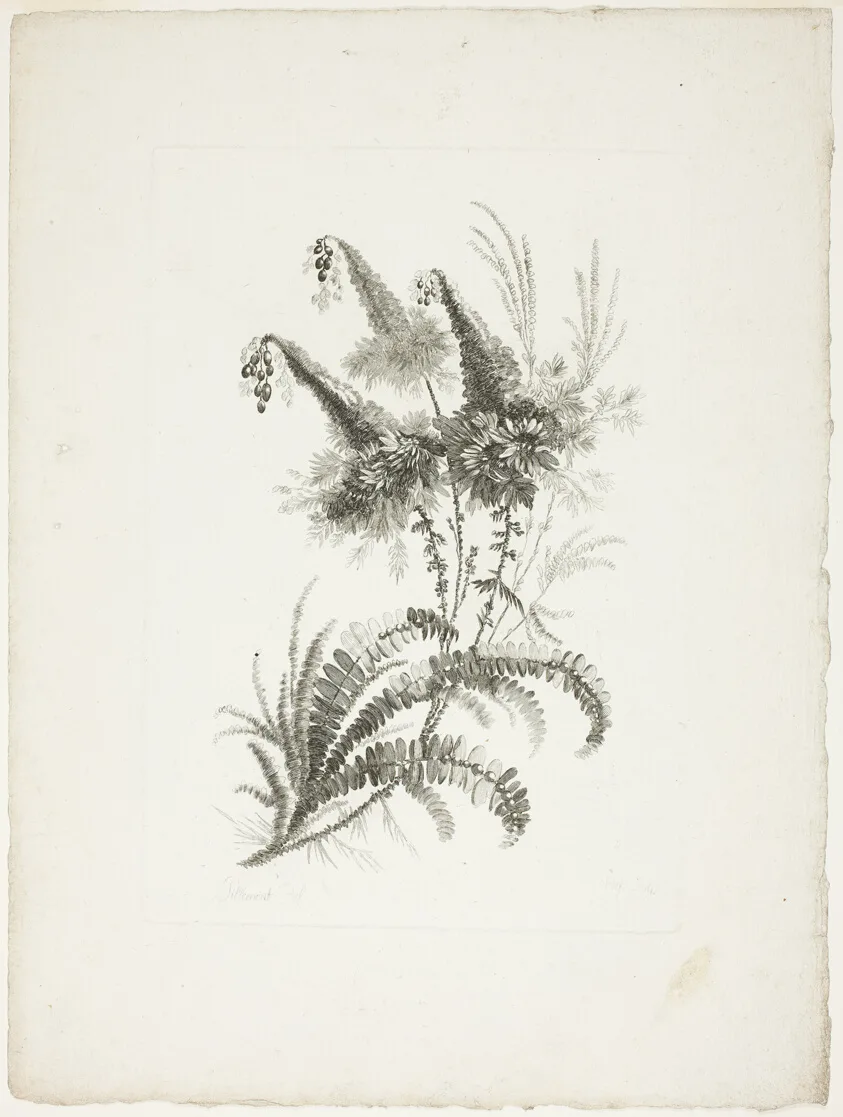 Bouquet, from Collection of New Flowers of Taste for the Manufacture of Persian Cloth, Invented and Drawn by Jean Pillement — تصویر رکورد مؤسسهٔ هنر شیکاگو (دسترسی آزاد)