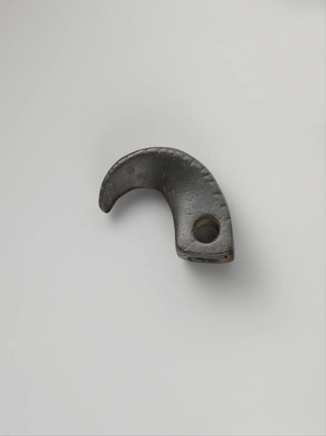 Harness or bridle fitting in the form of a claw — تصویر رکورد موزهٔ متروپولیتن (دسترسی آزاد)
