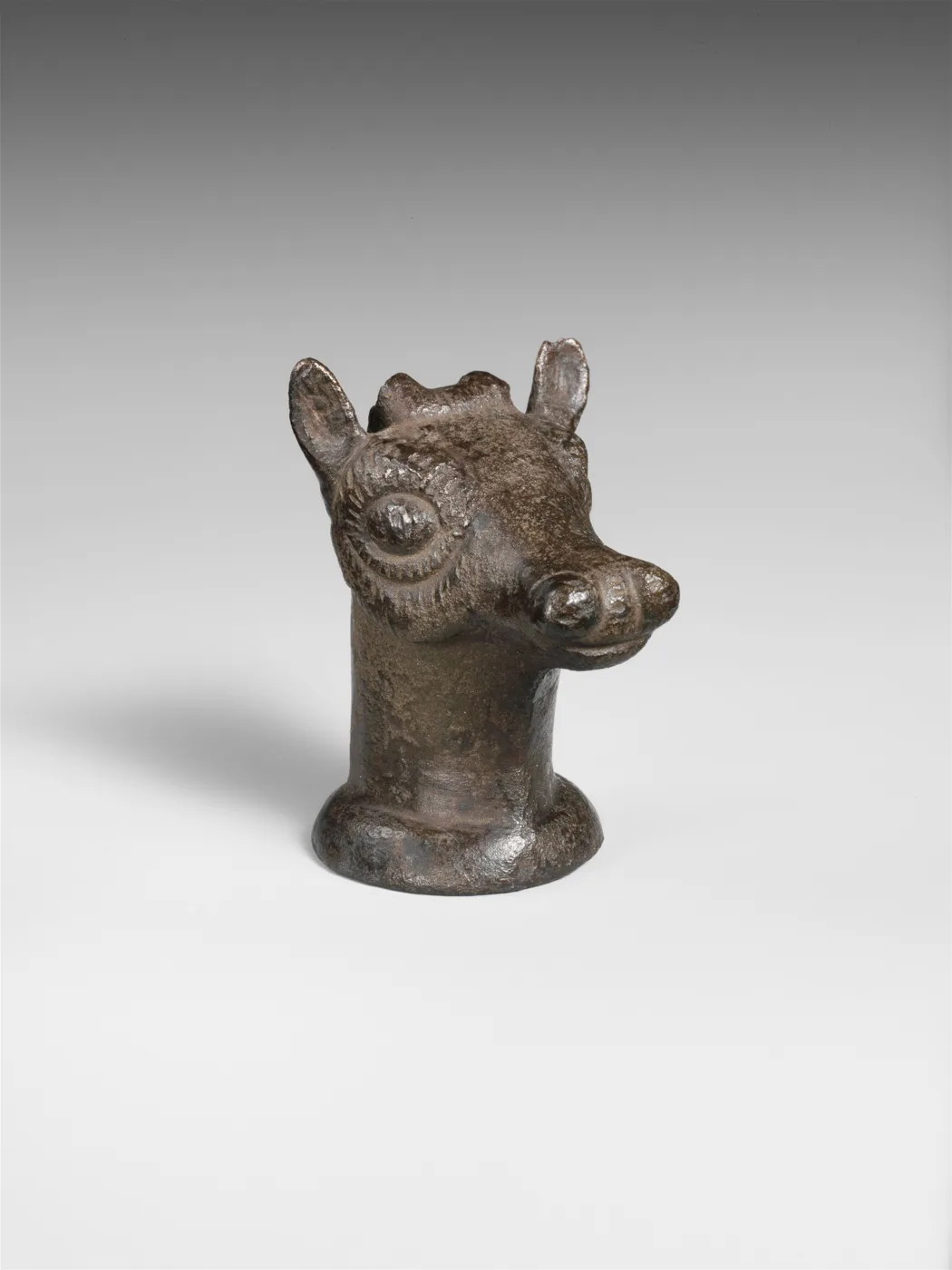Head of a gazelle — تصویر رکورد موزهٔ متروپولیتن (دسترسی آزاد)